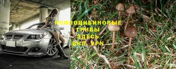 apvp Балабаново