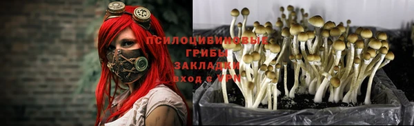 apvp Балабаново