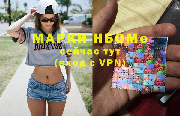 индика Аркадак